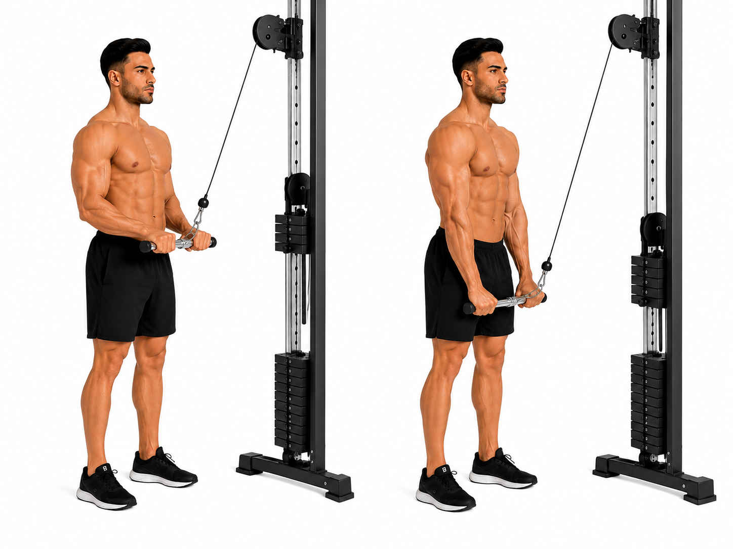 Cable Triceps Pushdown